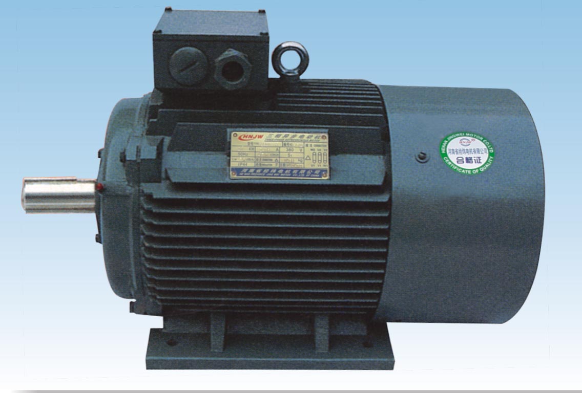 Y3 SERIES THREE-PHASE INDUCTION MOTORS